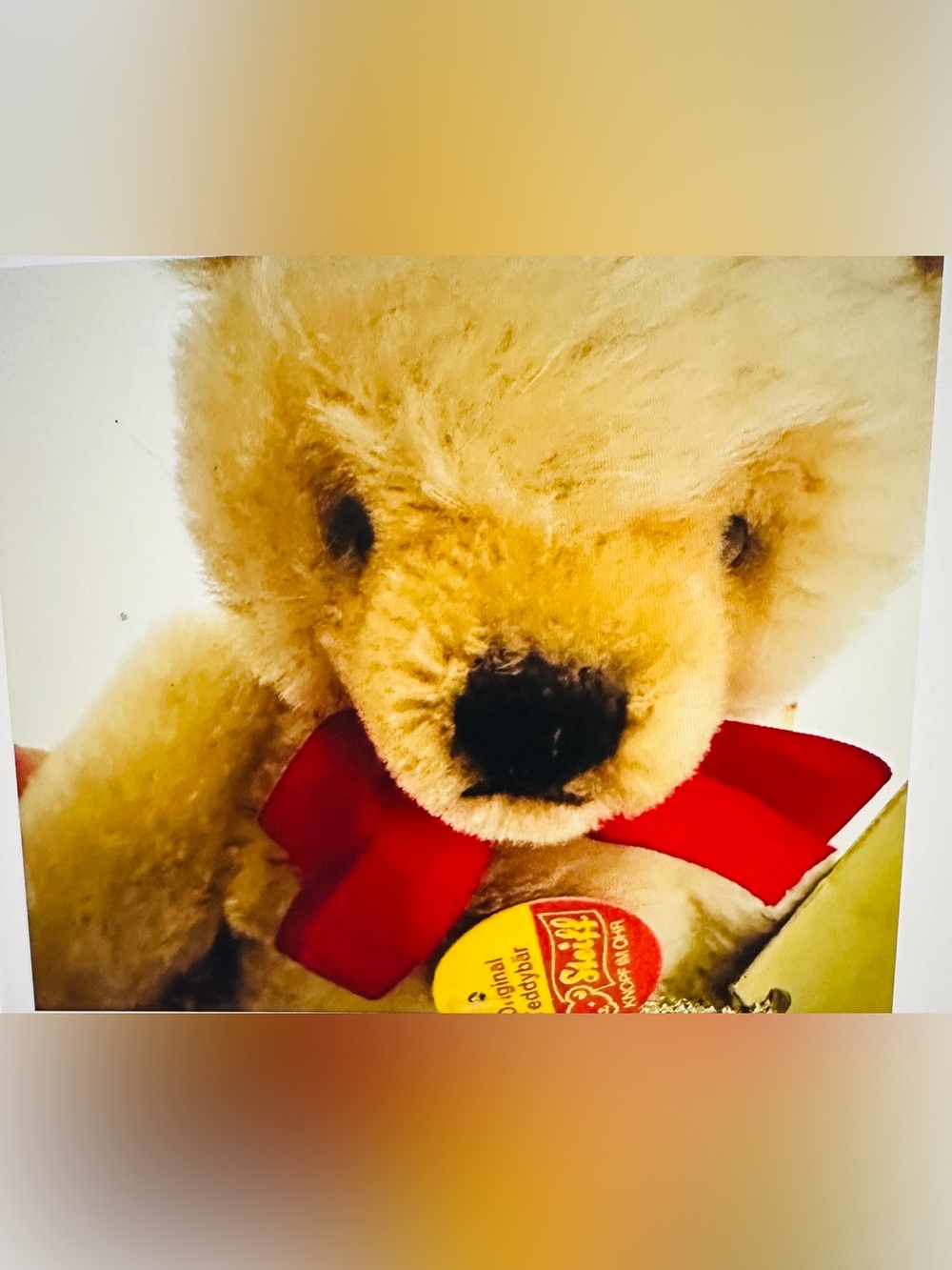 Steiff Original Jointed Teddy Bear 0201/26 Austria Signed By Otto Hans Steiff - Picture 2 of 15